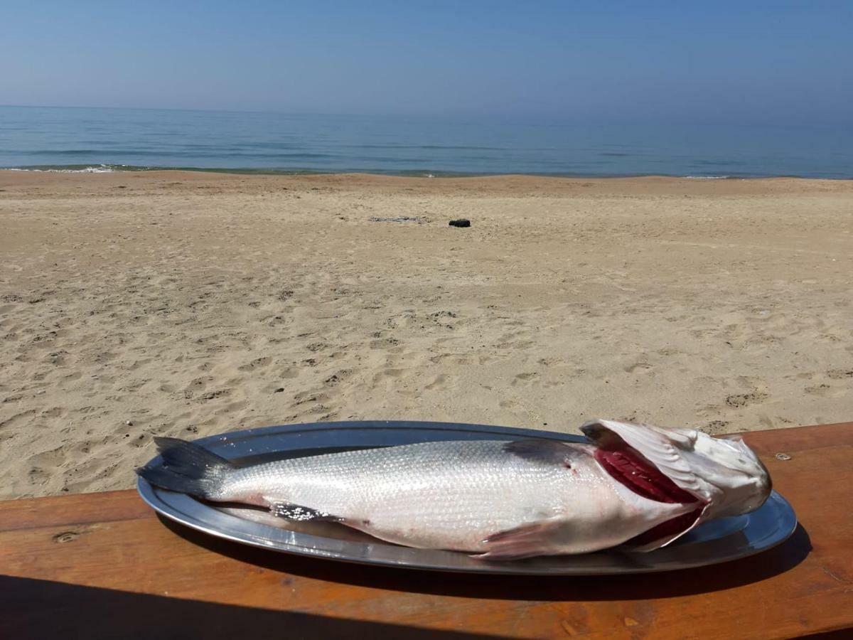 Bungalow Minonthebeach Gaeta Zewnętrze zdjęcie